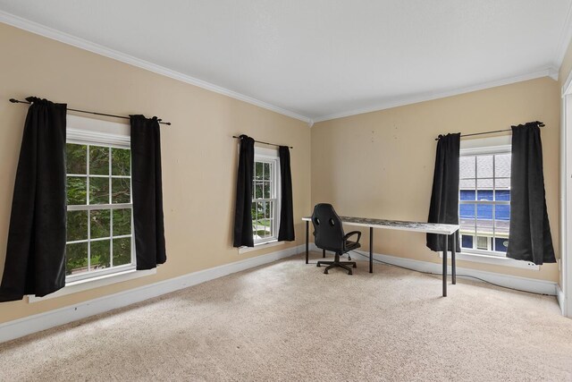 830 College Ave, Adrian, MI 49221 - photo 18
