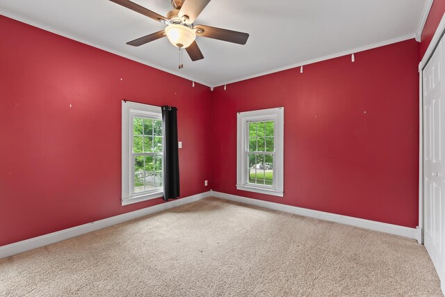 830 College Ave, Adrian, MI 49221 - photo 17