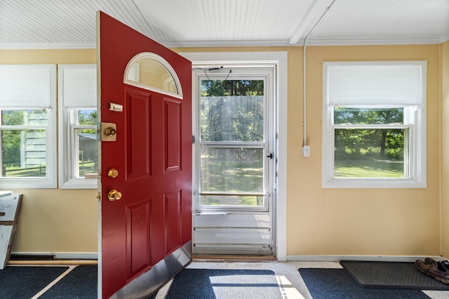 1645 Chlebus St, Jackson, MI 49203 - entryway featuring baseboards