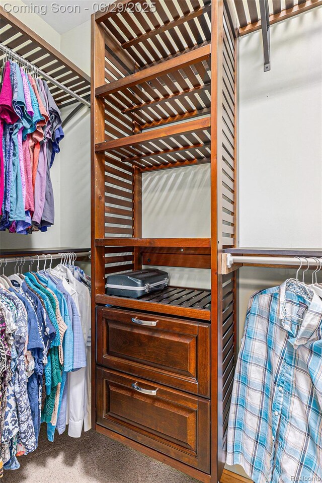 4301 Rolling Acres Dr, Hartland, MI 48353 - walk in closet with carpet floors