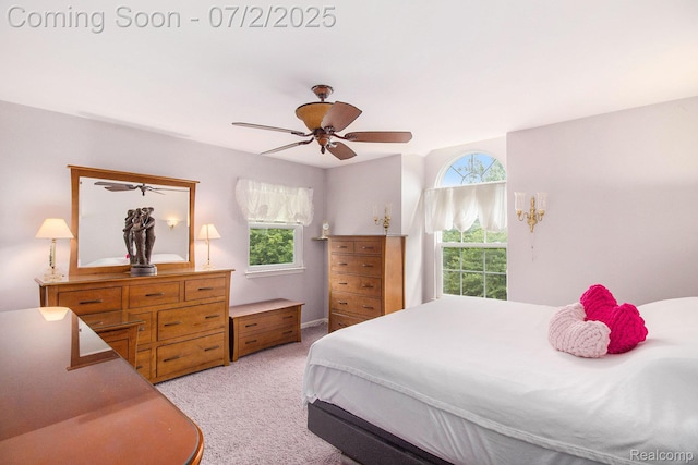 10448 Faussett Rd, Fenton, MI 48430 - photo 12