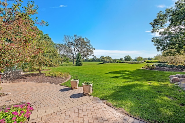 861 S 800 W, Indiana, IN 46341 - view of grassy yard
