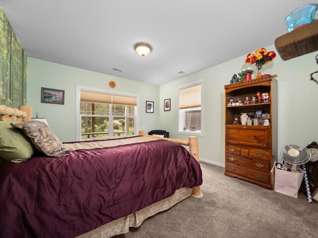 10355 Fencepost Ln, Traverse City, MI 49685 - photo 17