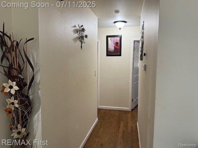 26615 Richard Dr, Warren, MI 48089 - photo 4