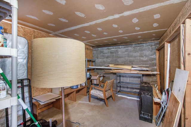 616 Lynn Ave Unit 21, Kalamazoo, MI 49008 - view of storage area