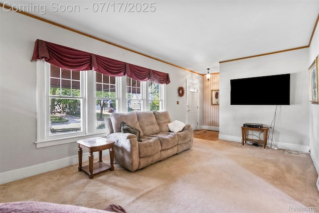 2006 N Connecticut Ave, Royal Oak, MI 48073 - carpeted living area with ornamental molding and baseboards