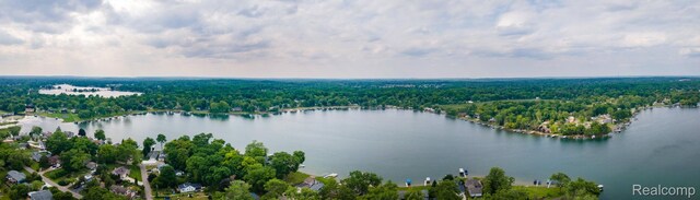 3831 Woodland Dr, Highland, MI 48356 - bird's eye view of a forest and a large body of water