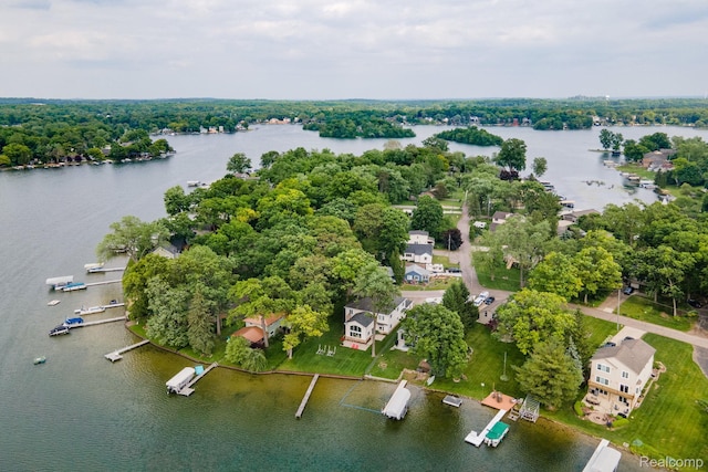 3831 Woodland Dr, Highland, MI 48356 - drone / aerial view of a nearby body of water