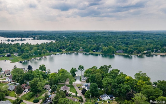 3831 Woodland Dr, Highland, MI 48356 - aerial perspective of suburban area featuring a nearby body of water and a forest