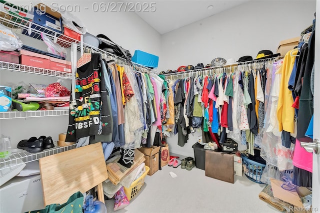 38731 Chasewood Ct, Farmington Hills, MI 48335 - spacious closet with carpet floors