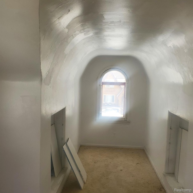 8229 Carlin St, Detroit, MI 48228 - detailed view of carpet flooring