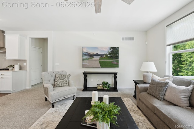 1065 Spring Trail Ct, Brighton, MI 48116 - view of carpeted living room