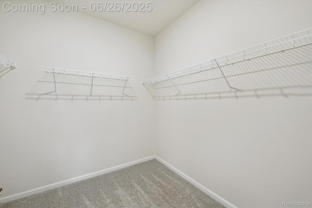 1065 Spring Trail Ct, Brighton, MI 48116 - walk in closet featuring carpet floors