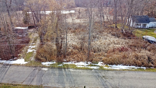 0 Annapolis St, Commerce Twp, MI 48382