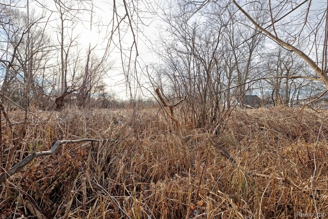 0 Annapolis St, Commerce Twp, MI 48382