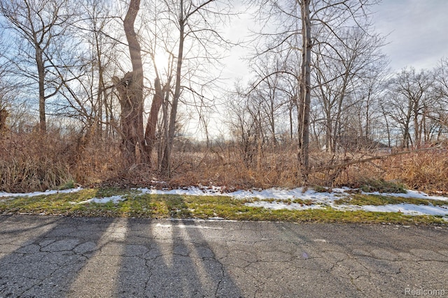 0 Annapolis St, Commerce Twp, MI 48382