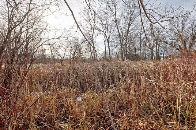 0 Annapolis St, Commerce Twp, MI 48382