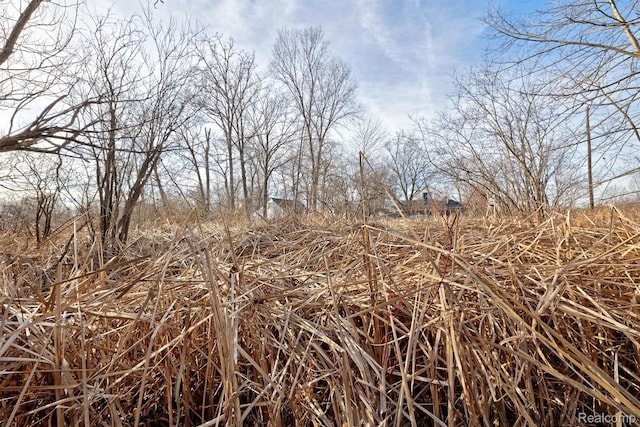 0 Annapolis St, Commerce Twp, MI 48382