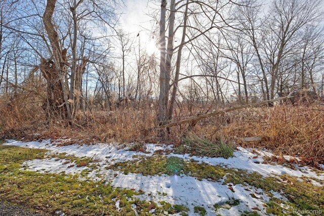 0 Annapolis St, Commerce Twp, MI 48382