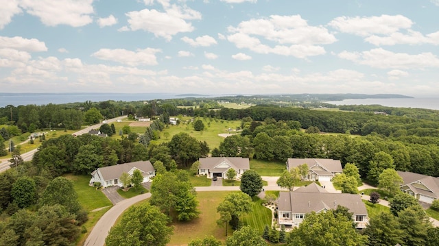 172 Wildwood Meadows Dr, Traverse City, MI 49686 - photo 50