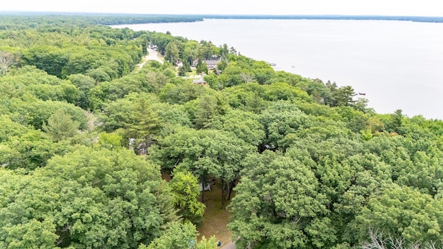 104 Wyckoff Dr, Houghton Lake, MI 48629 - photo 20