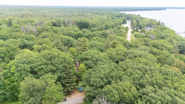 104 Wyckoff Dr, Houghton Lake, MI 48629 - photo 22