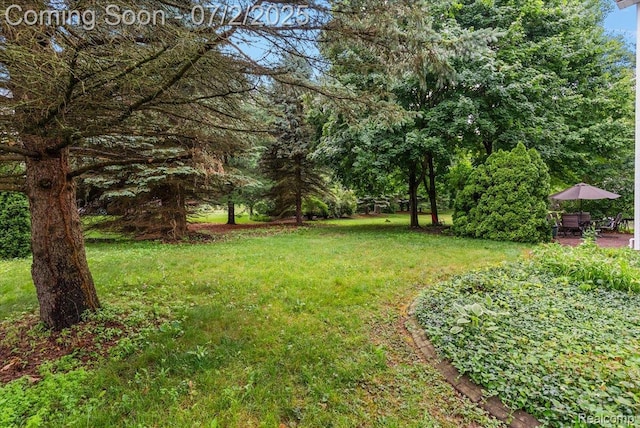 3594 Olde Dominion Dr, Brighton, MI 48114 - photo 63