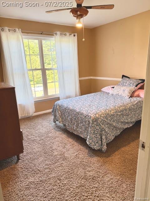 3594 Olde Dominion Dr, Brighton, MI 48114 - photo 47