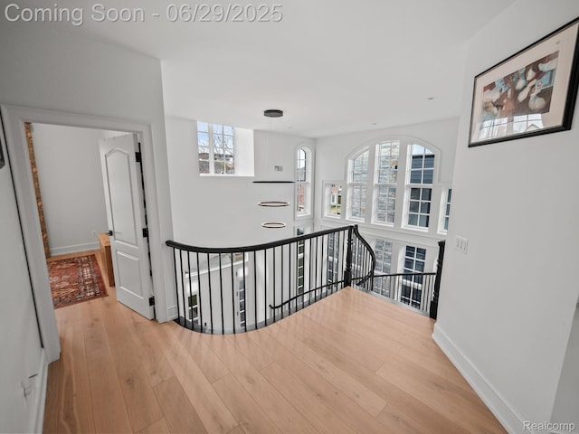 330 Ferndale Ave, Birmingham, MI 48009 - photo 28