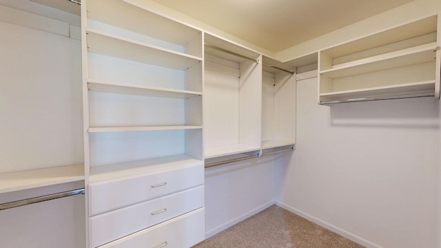 7106 Partridge Dr, Flushing, MI 48433 - spacious closet featuring carpet floors