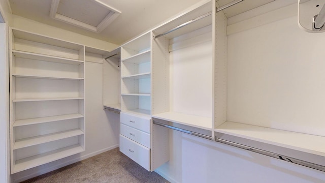 7106 Partridge Dr, Flushing, MI 48433 - walk in closet with carpet flooring and attic access