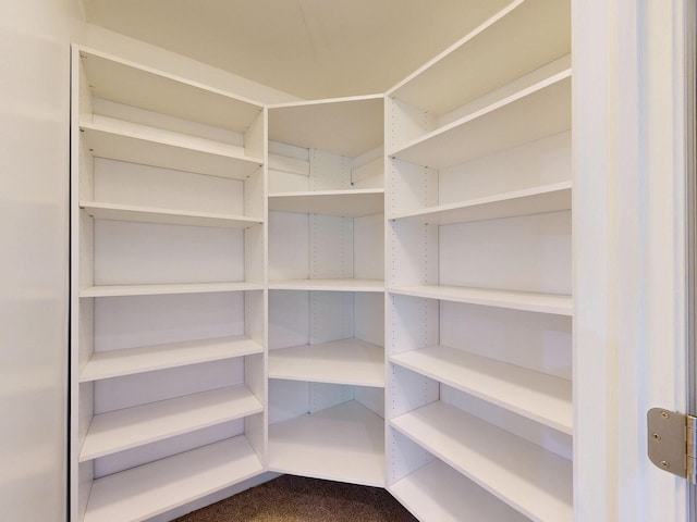 7106 Partridge Dr, Flushing, MI 48433 - view of storage area