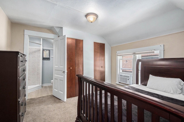 814 12th St NW, Grand Rapids, MI 49504 - bedroom with light colored carpet, vaulted ceiling, and multiple closets