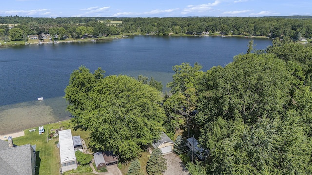 12963 E Englewright Dr, Sand Lake, MI 49343 - drone / aerial view of a nearby body of water