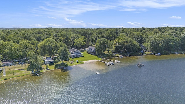 12963 E Englewright Dr, Sand Lake, MI 49343 - bird's eye view of a large body of water and a heavily wooded area