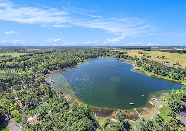 12963 E Englewright Dr, Sand Lake, MI 49343 - drone / aerial view of a large body of water