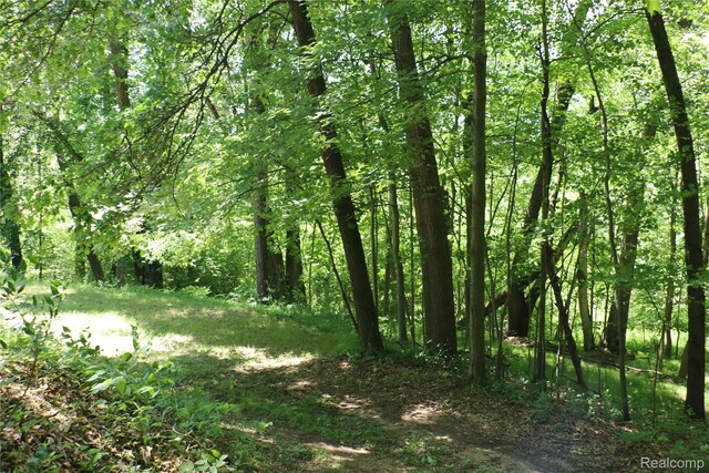 320 Nancy Bird Ln, Clarkston, MI 48371 - view of tree filled area