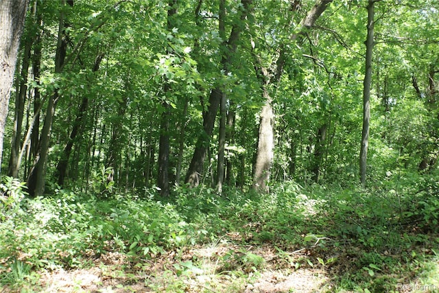320 Nancy Bird Ln, Clarkston, MI 48371 - view of woods