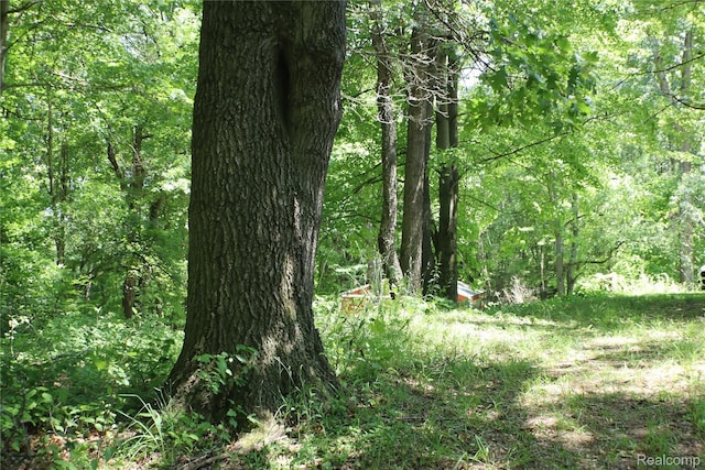320 Nancy Bird Ln, Clarkston, MI 48371 - view of wooded area