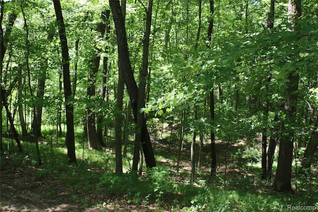 320 Nancy Bird Ln, Clarkston, MI 48371 - view of woods