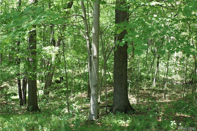 320 Nancy Bird Ln, Clarkston, MI 48371 - view of woods