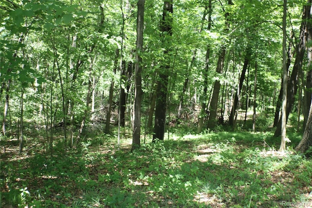 320 Nancy Bird Ln, Clarkston, MI 48371 - view of woods