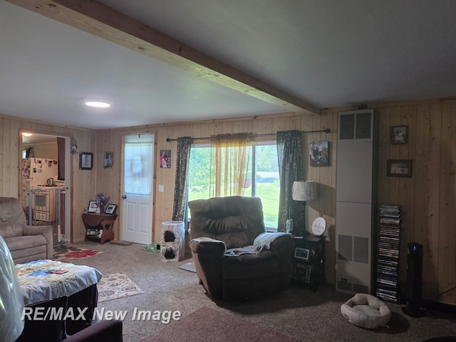 4230 E M-55, Prescott, MI 48756 - living room with a heating unit, wood walls, carpet floors, and beamed ceiling