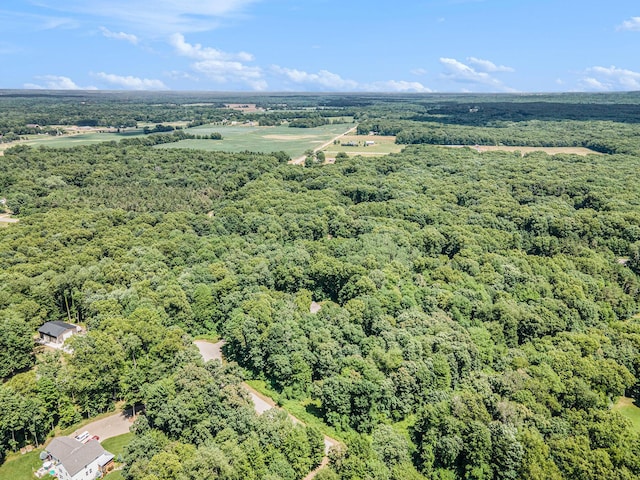 3479 Jeffrey Spur, Hamilton, MI 49419 - bird's eye view of a forest