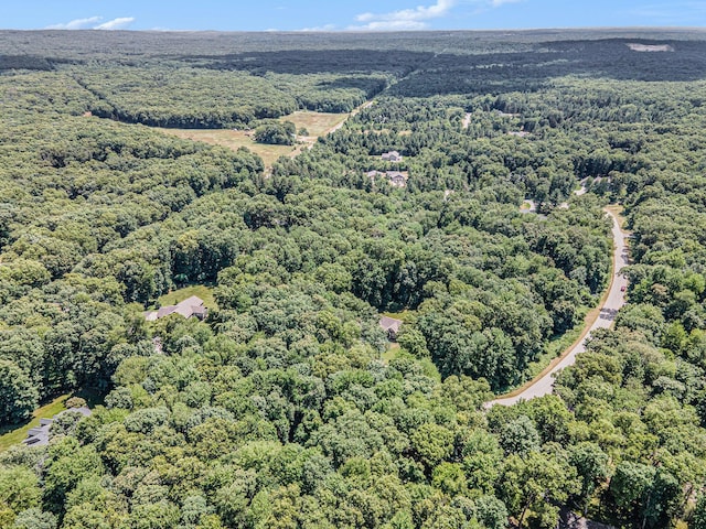 3479 Jeffrey Spur, Hamilton, MI 49419 - drone / aerial view of a heavily wooded area