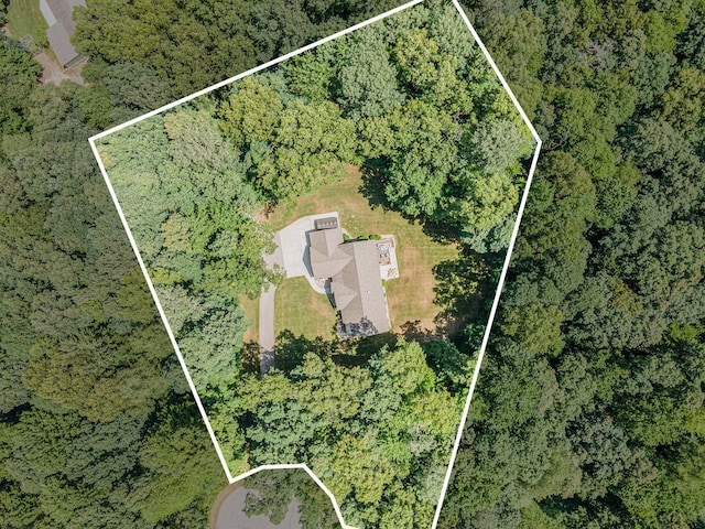 3479 Jeffrey Spur, Hamilton, MI 49419 - view of property location featuring a forest and property boundaries highlighted