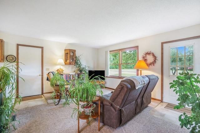 310 W 4th St, Lawton, MI 49065 - living area featuring baseboards