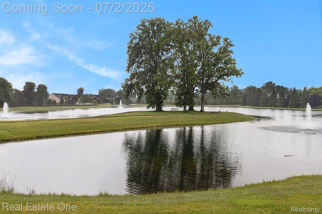 28406 Oakmonte Cir E, New Hudson, MI 48165 - photo 29