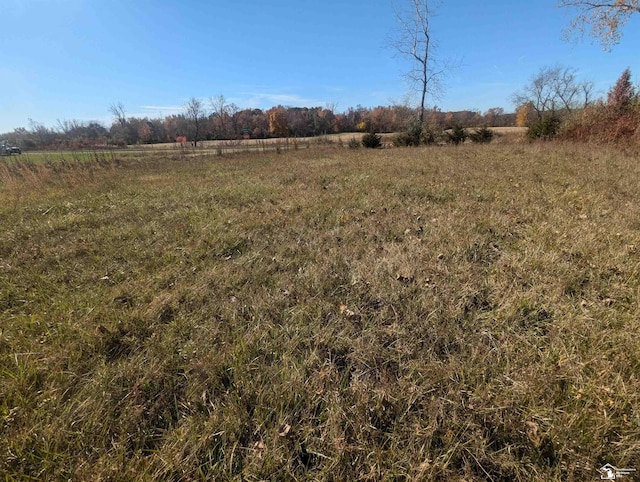 4002 Meadowlawn Dr, Camden, MI 49232
