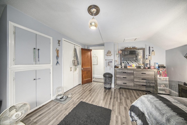 317 E Argyle St, Jackson, MI 49202 - bedroom with wood finished floors, a textured ceiling, and lofted ceiling